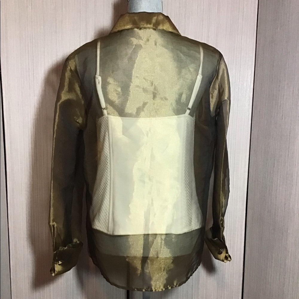 Sheer Metallic Gold Button-Up Blouse - Picture 6 of 6